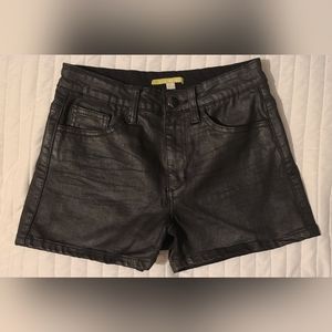 Gianni Bini Black Short Shorts